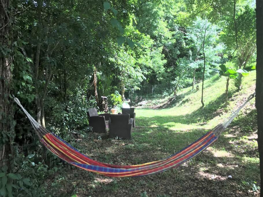 Appartement Colibri , Les Anses D 'Arlet Luaran gambar