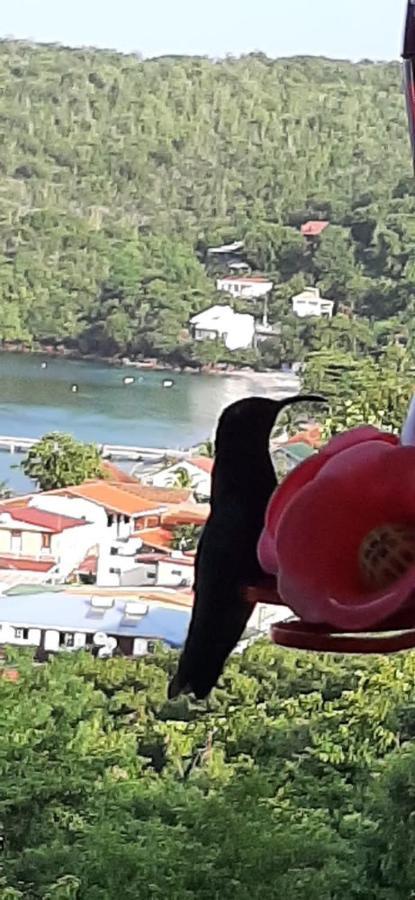 Appartement Colibri , Les Anses D 'Arlet Luaran gambar